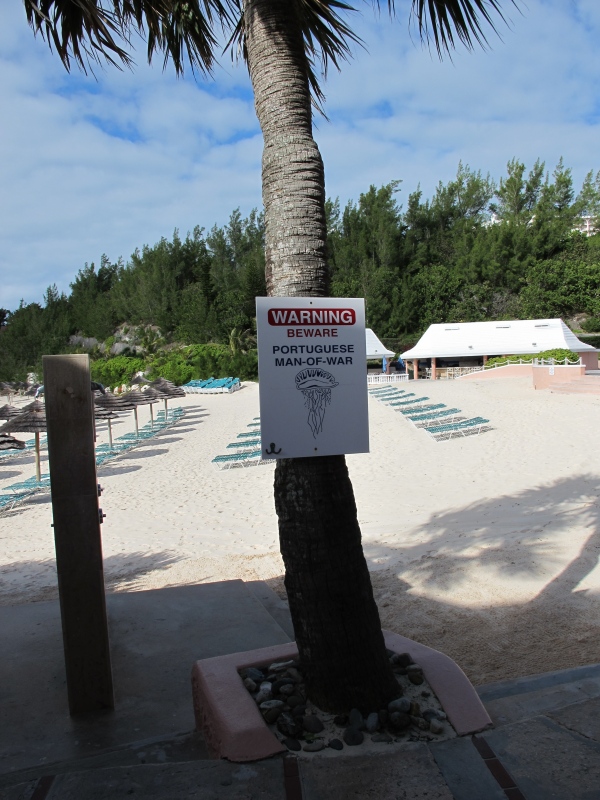 Day6 - 02 beach 20-Jan-2010